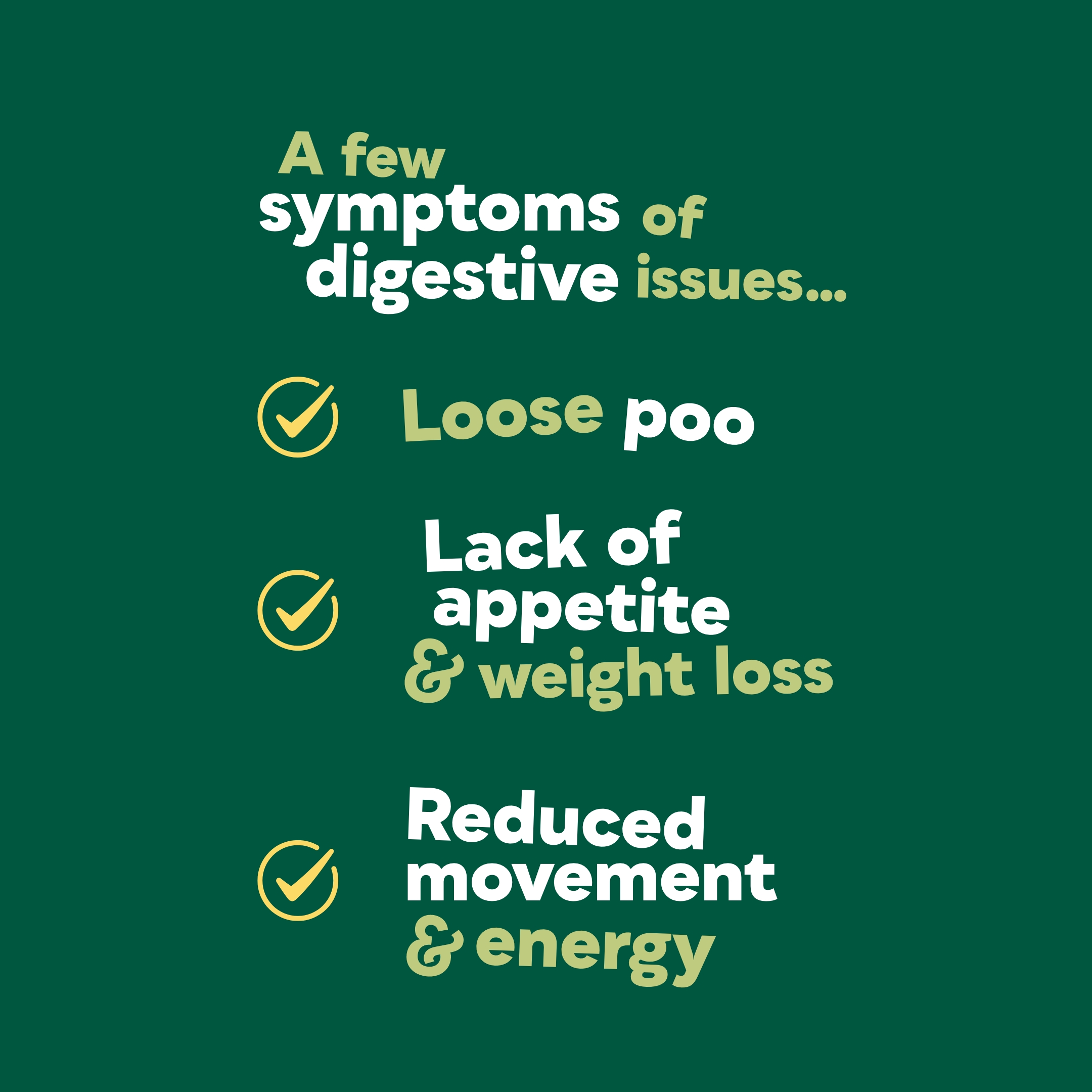 Your practical guide to the dog digestive system
